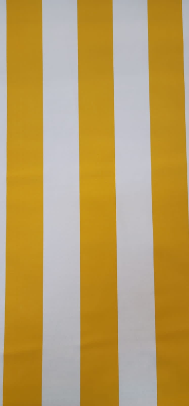 Yellow & White Stripe