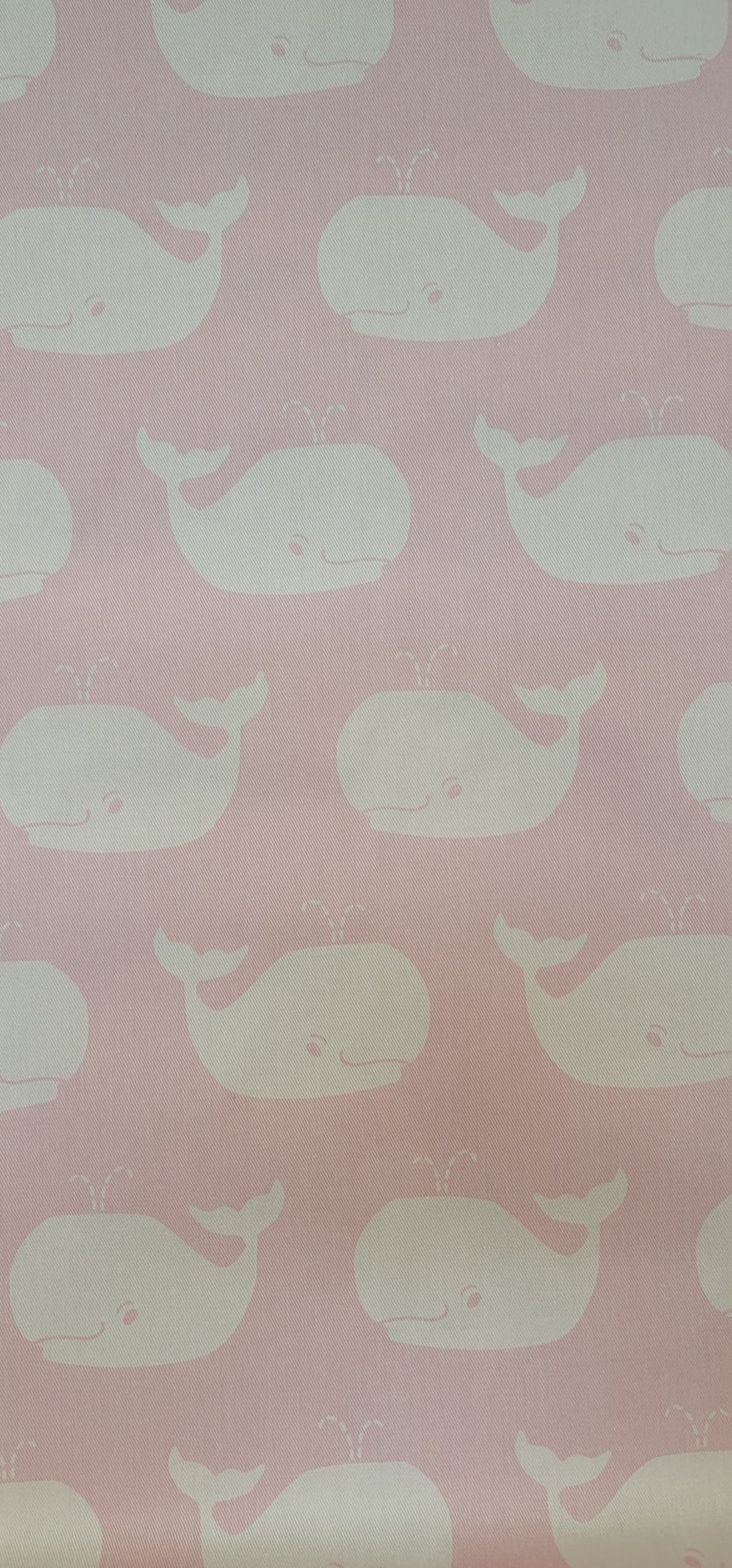Beluga - Soft Pink