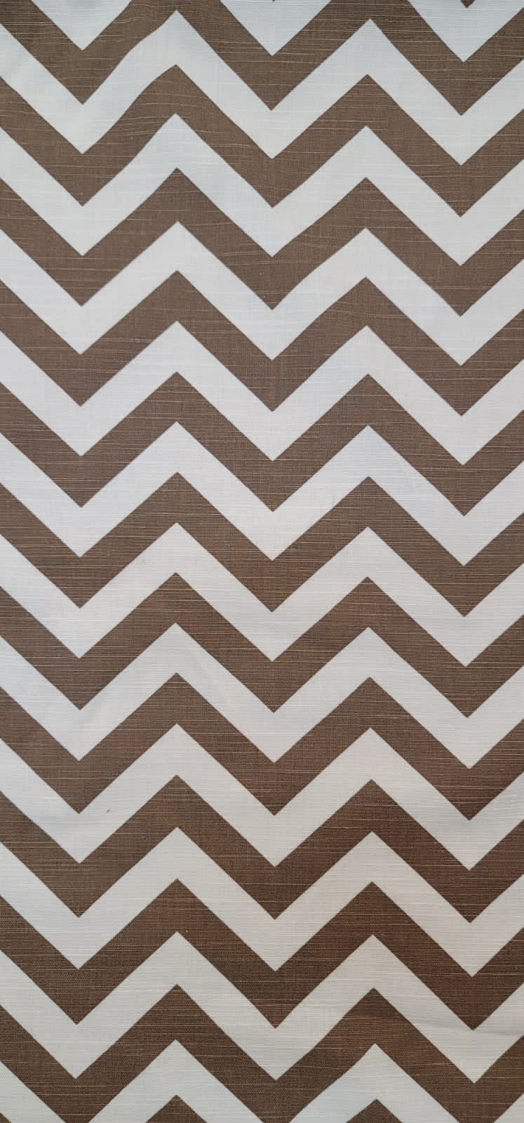 Chevron - French Beige