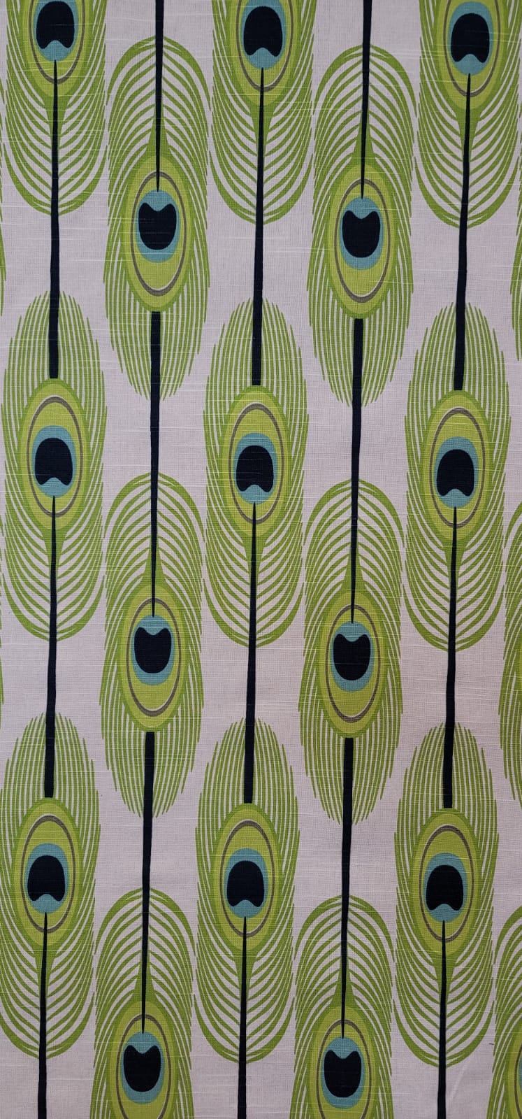 Peacock Feather