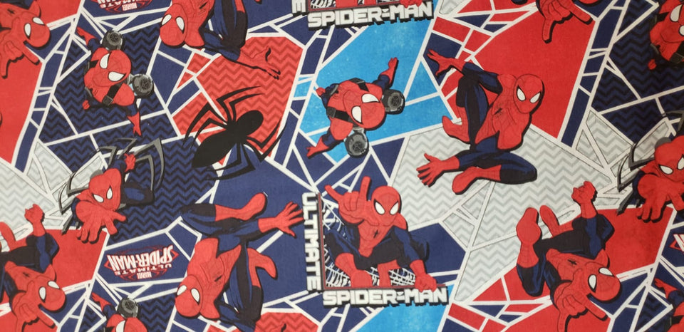 Spider-Man - Web Slinger