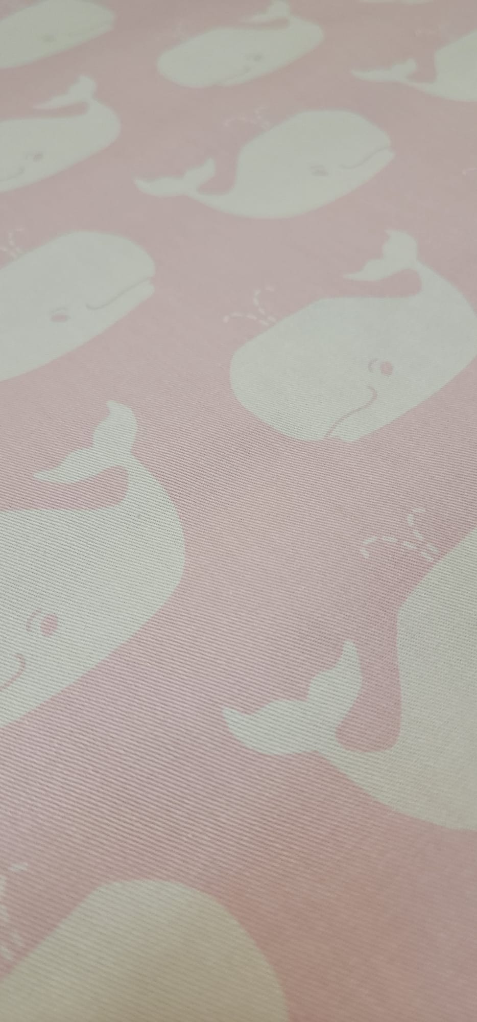 Beluga - Soft Pink