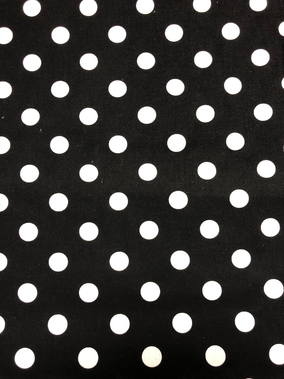 Polka Dot - Black (3/4")